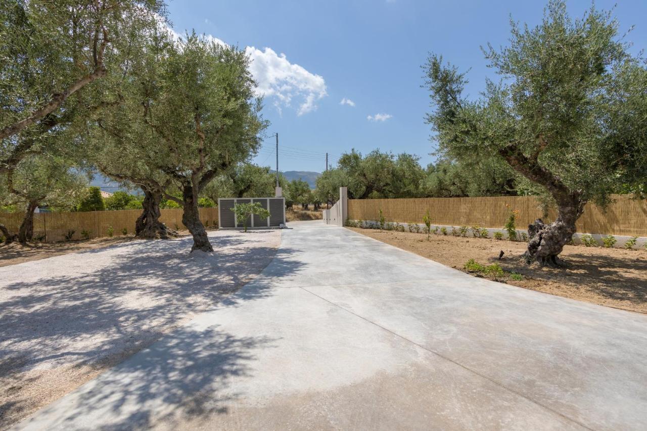 Villa Olivea Kalpaki  Bagian luar foto