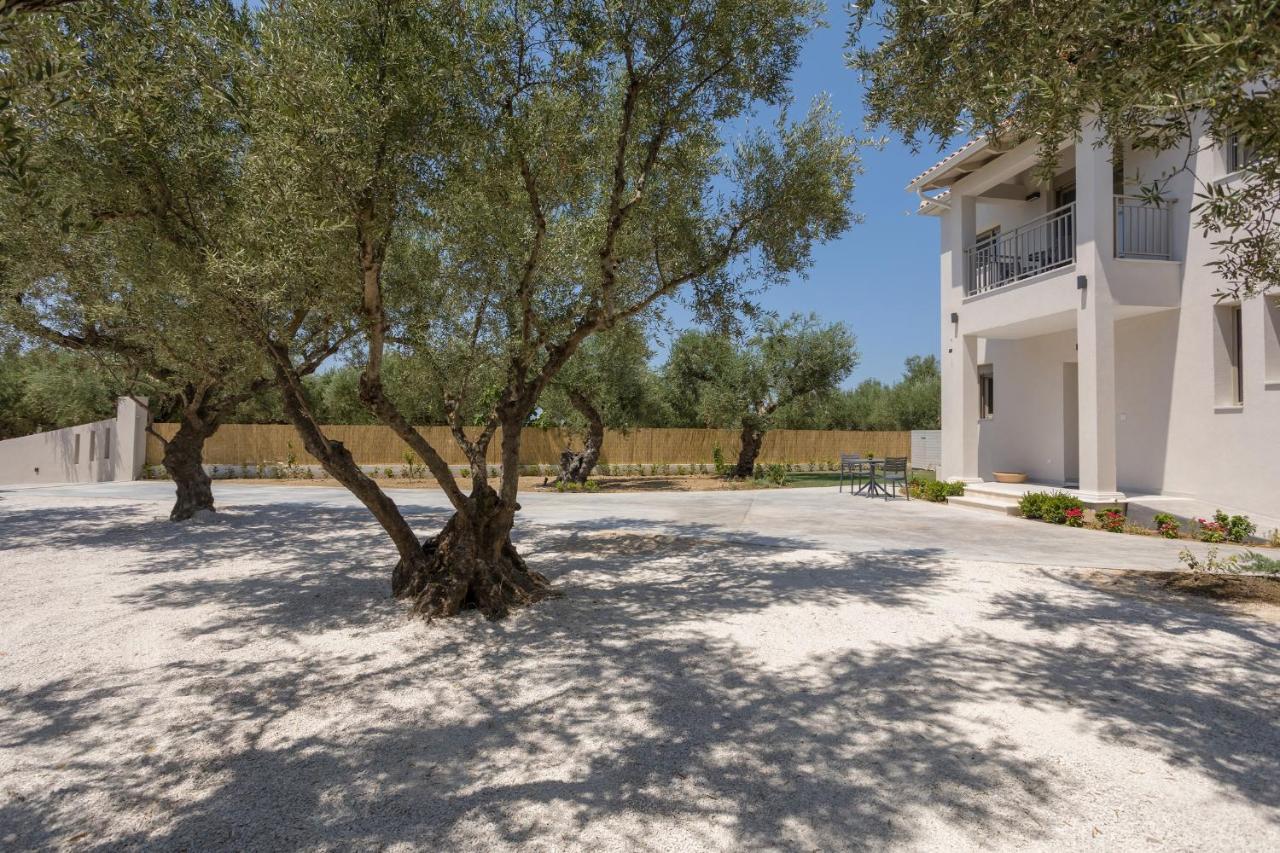 Villa Olivea Kalpaki  Bagian luar foto